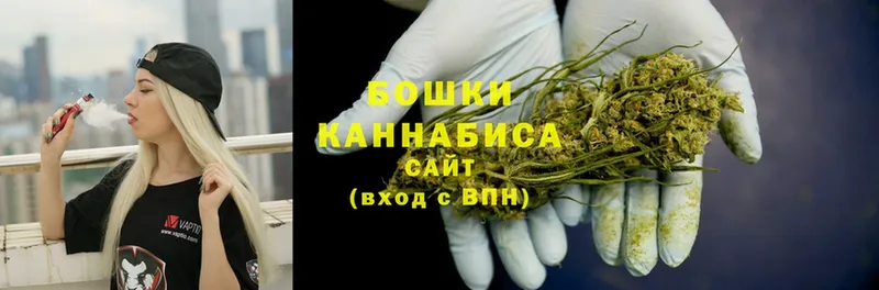 МАРИХУАНА SATIVA & INDICA  как найти наркотики  Зея 